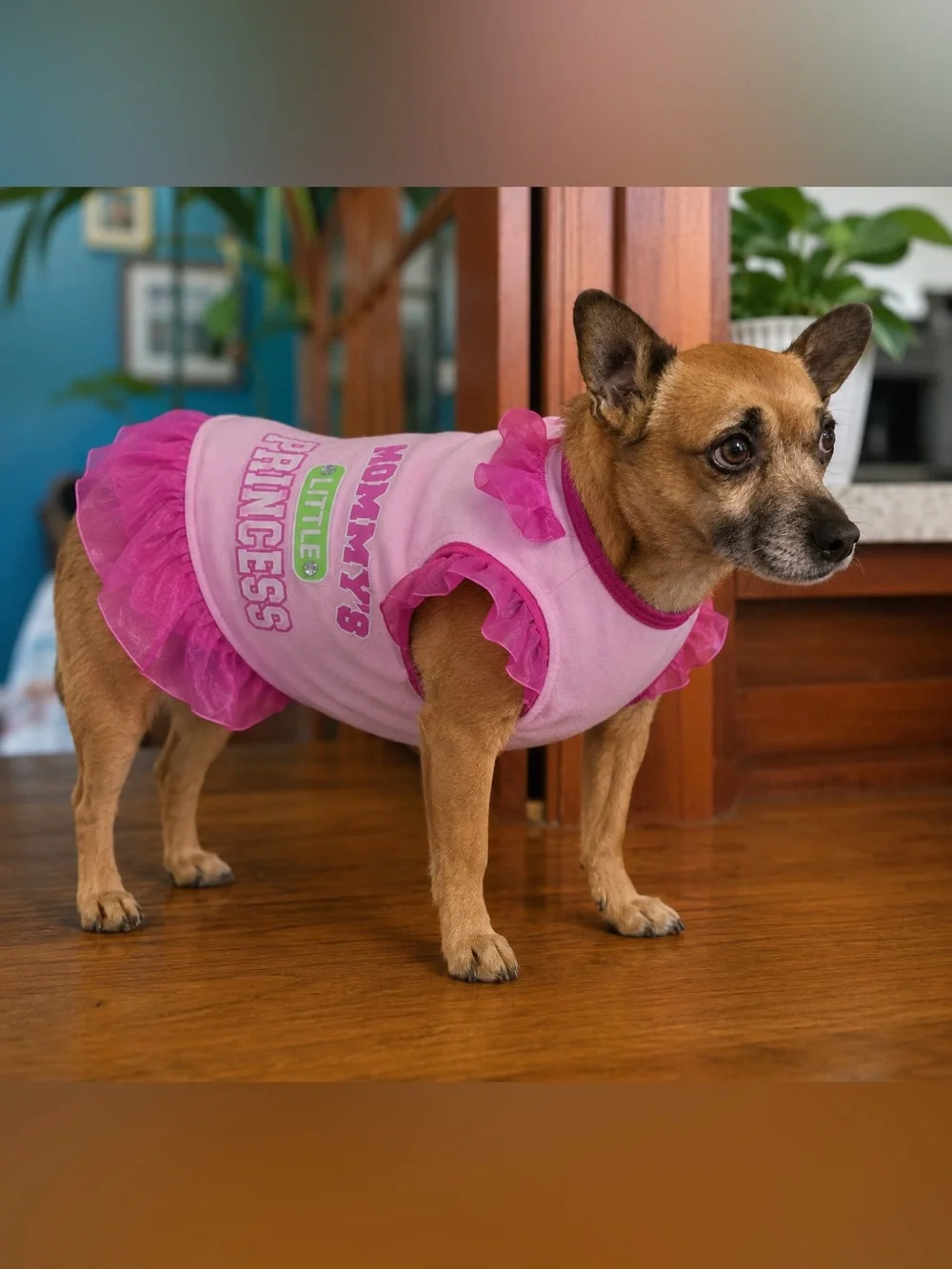 Glamour to the Bone Mommy’s Little Princess Dog Dress S